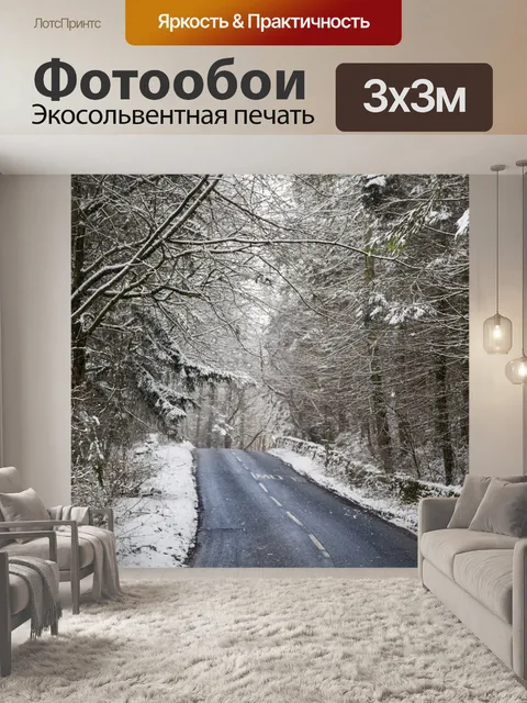 Фотообои Зимняя дорога