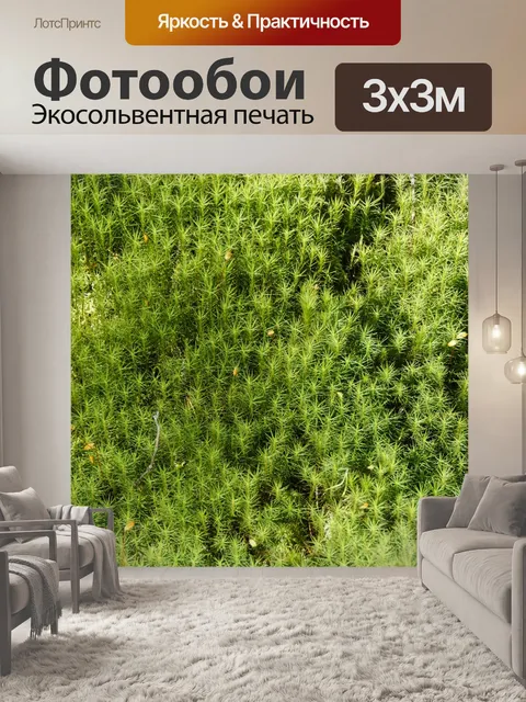 Фотообои Мох