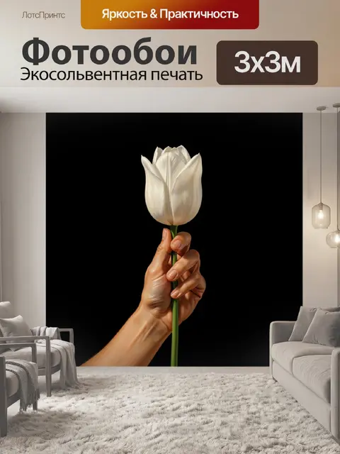 Фотообои Белый тюльпан в руке