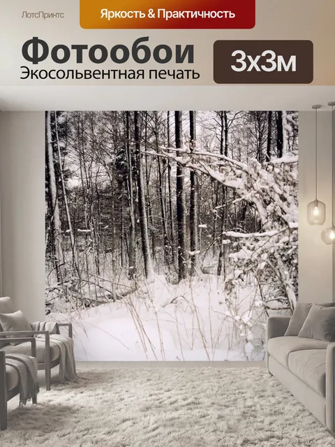 Фотообои Зимняя фотография около Люблина