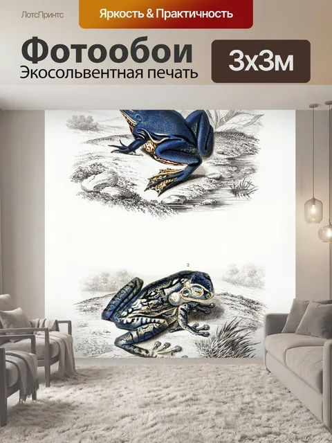 Фотообои Лягушка рептилия старинное искусство