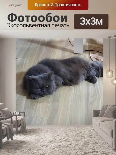 Фотообои Кошка