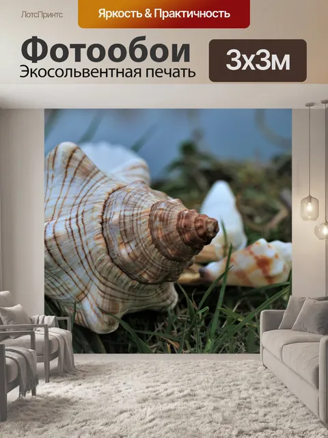 Фотообои Оболочка