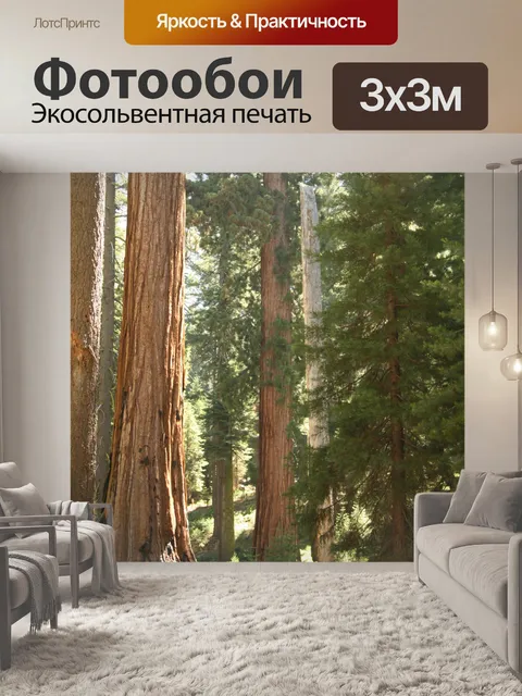 Фотообои Гигантские секвойи в Йосемити