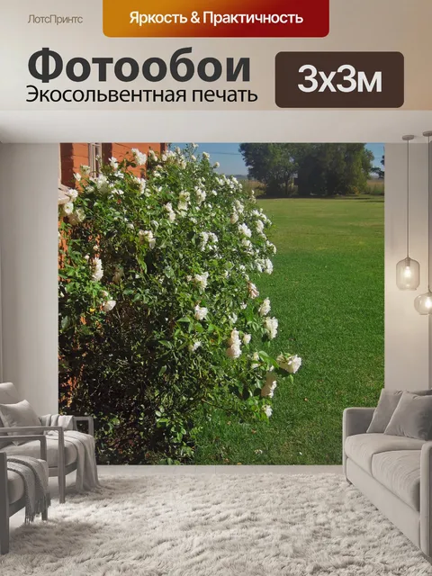 Фотообои белый розовый куст