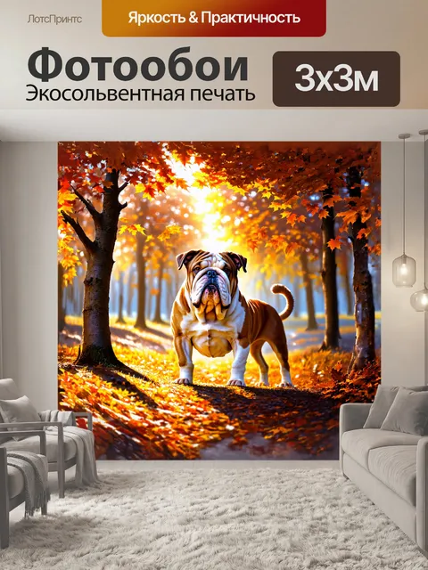 Фотообои в окружении осенних деревьев с золотыми и оранжевыми листьями стоит английский бульдог, погруженный в раздумья