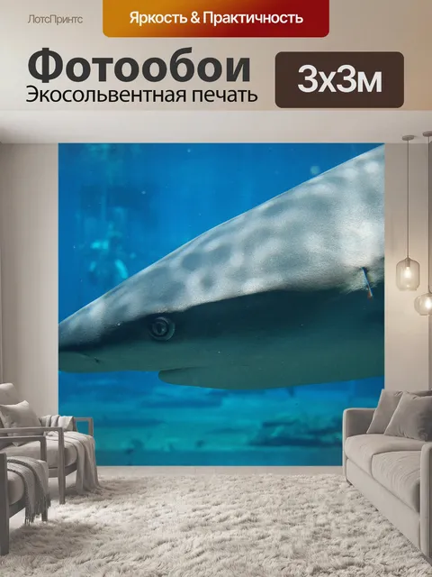 Фотообои акула в Ushaka морской мир 2