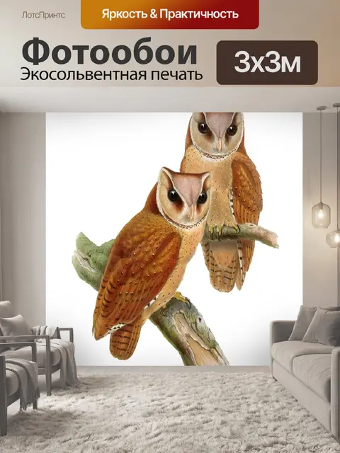 Фотообои Совы филиал картина винтаж