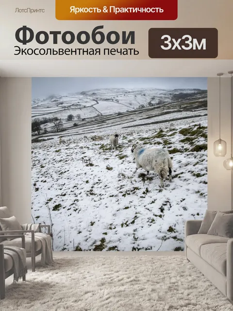 Фотообои Овца