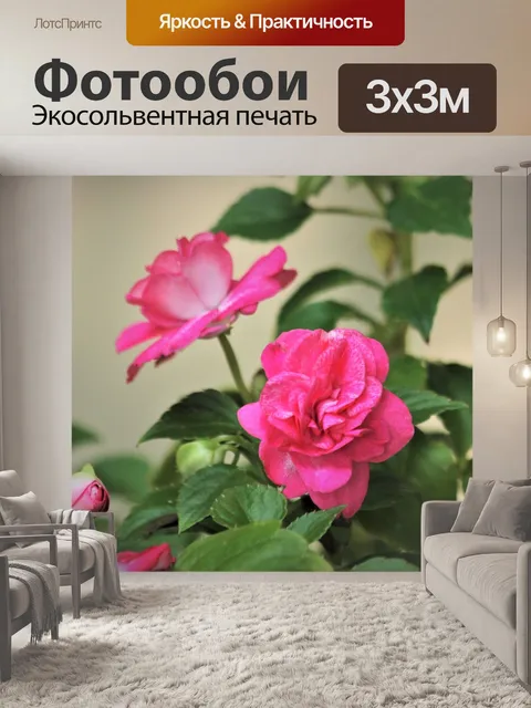 Фотообои Розовые цветы Недотроги крупным планом