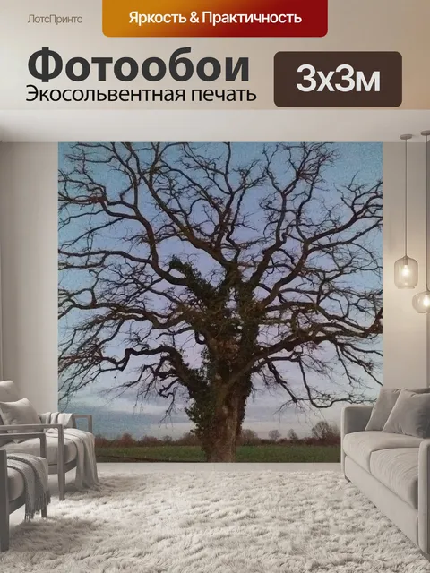 Фотообои Дерево дуб пейзаж природа