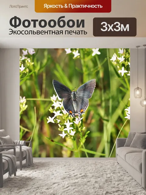 Фотообои Серая Прическа Бабочка 3
