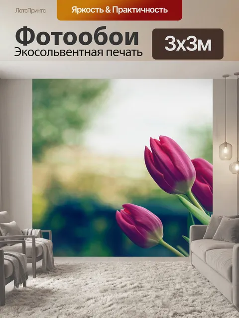 Фотообои Тюльпаны