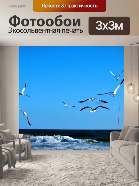 Фотообои Чайки летают