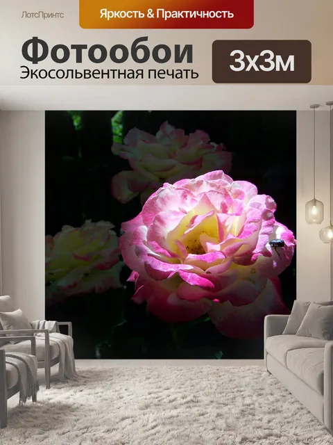 Фотообои Свет и тени