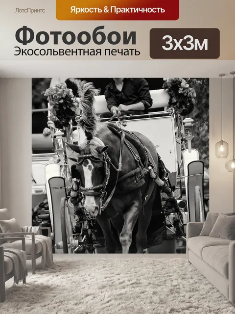 Фотообои Красивый