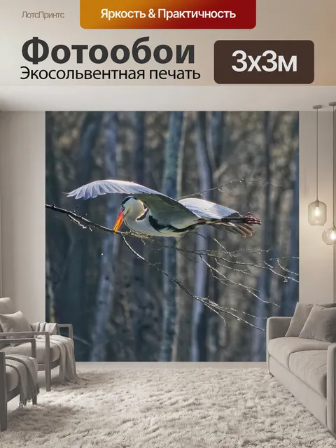 Фотообои Серая цапля