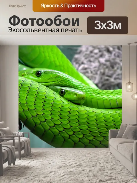 Фотообои Зеленый Мамба змея