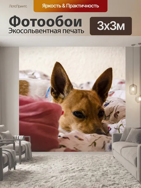 Фотообои Собаки