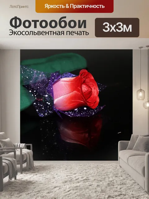 Фотообои одна красная роза