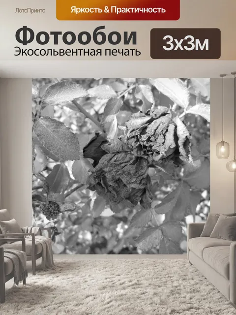 Фотообои Увядшие розы макрос 1