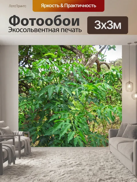 Фотообои молодая сиринга с зелеными листьями