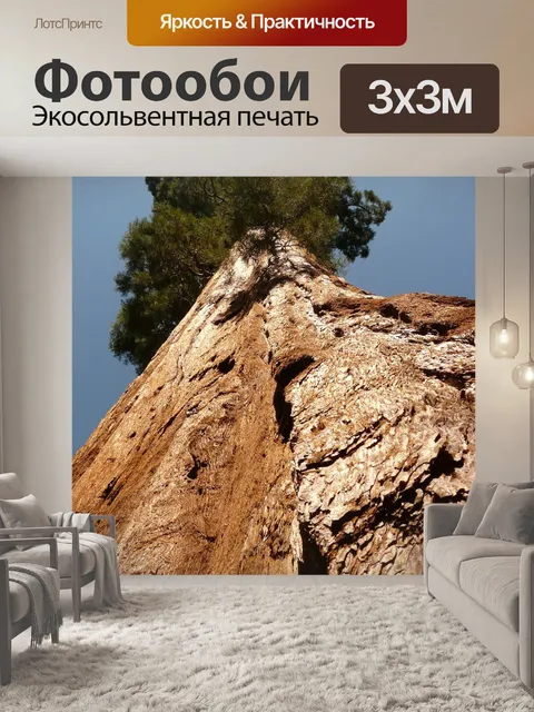 Фотообои Дерево