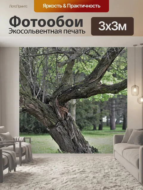 Фотообои Старое дерево