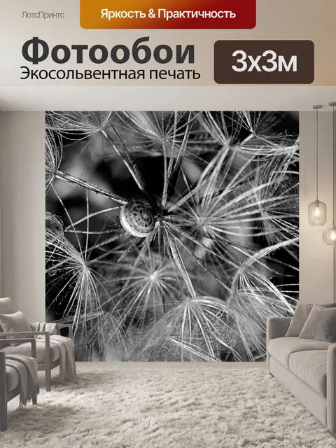 Фотообои Одуванчик и улитка