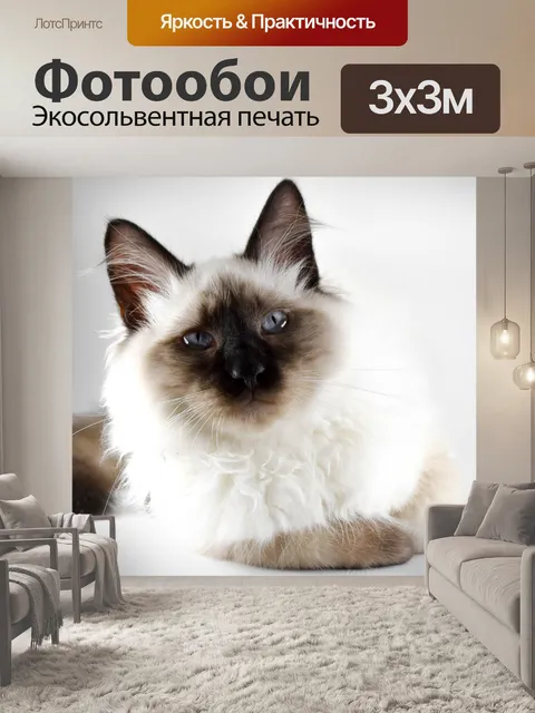 Фотообои Милый