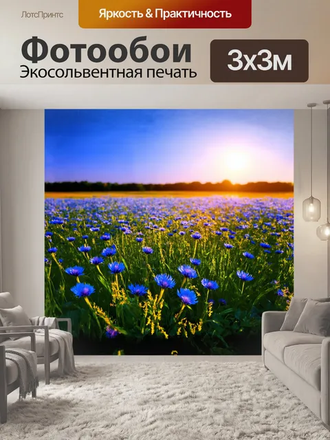 Фотообои поле васильков в вечернем свете превращается в морской океан синего цвета, где каждая волна – это цветок