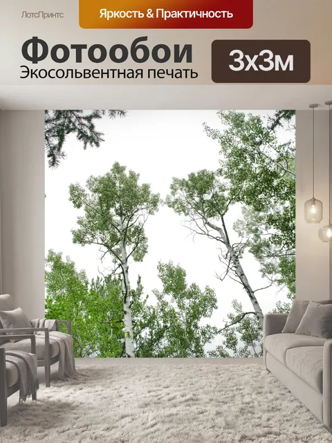 Фотообои верхушки деревьев
