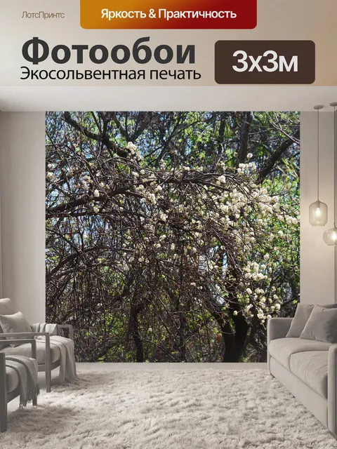 Фотообои дерево в дикой природе с белым цветком