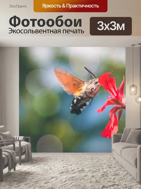 Фотообои Сфинкс colibri