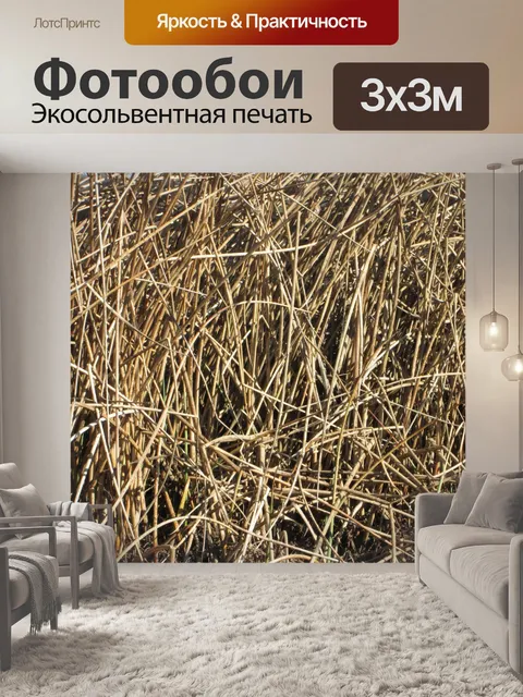 Фотообои Камыши Текстура 3