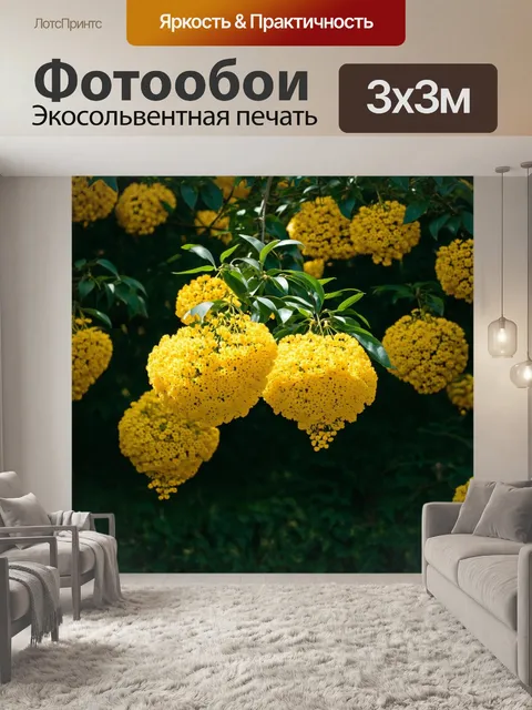 Фотообои загадочные мимозы растут среди густого леса, их яркие желтые цветы выделяются на фоне зеленых листв