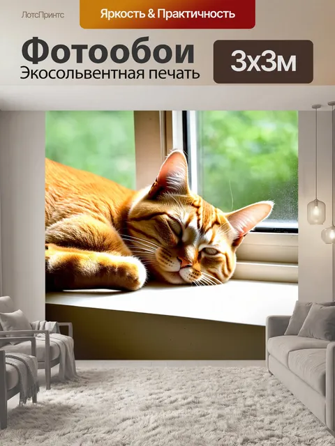 Фотообои оранжевый цвет: оранжевый кот