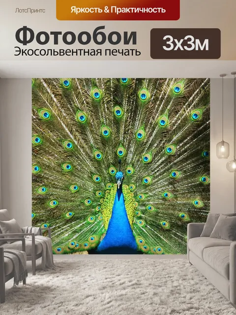 Фотообои Павлин