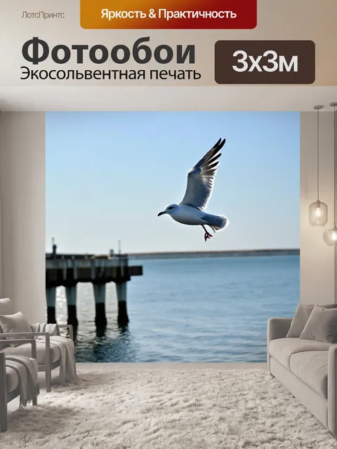 Фотообои чайка, летящая над причалом, солнечный день, отражение в воде, спокойная атмосфера, высокая четкость