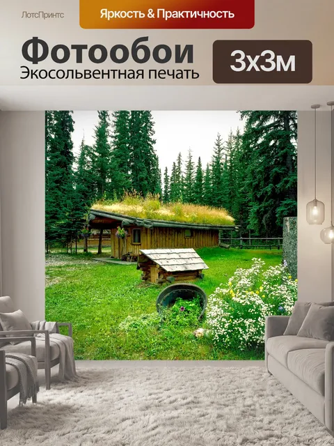Фотообои Северный полюс