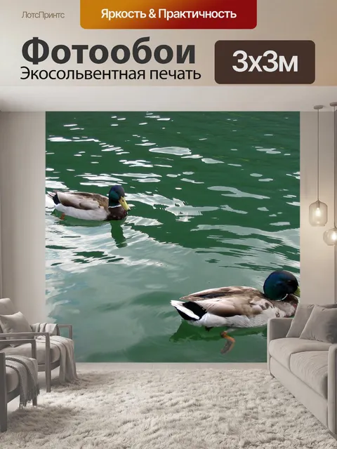 Фотообои Утки
