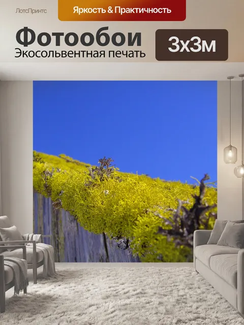 Фотообои Макрос