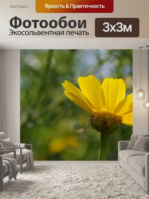 Фотообои Желтая ромашка с тенью