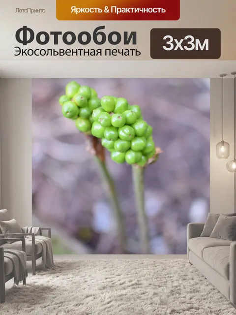 Фотообои Зеленый ягодный