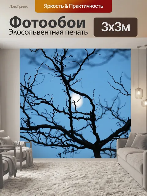 Фотообои Ночь