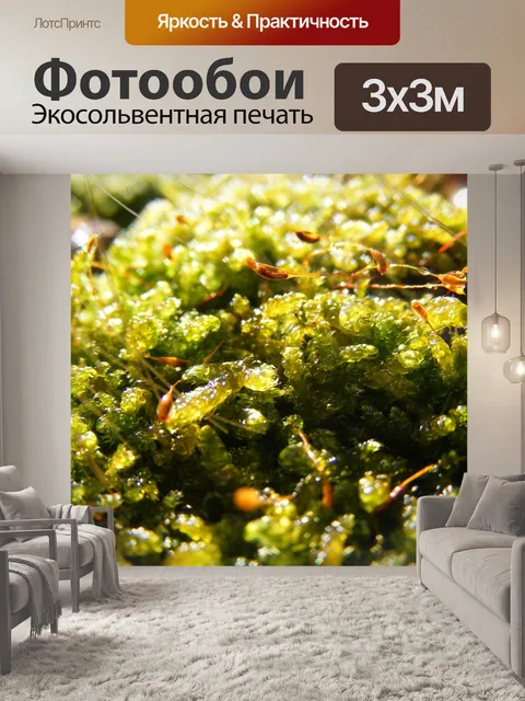 Фотообои Мосс