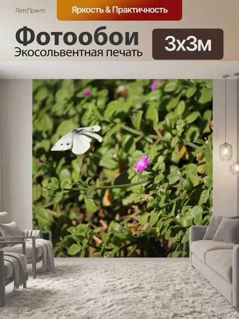 Фотообои Бабочка