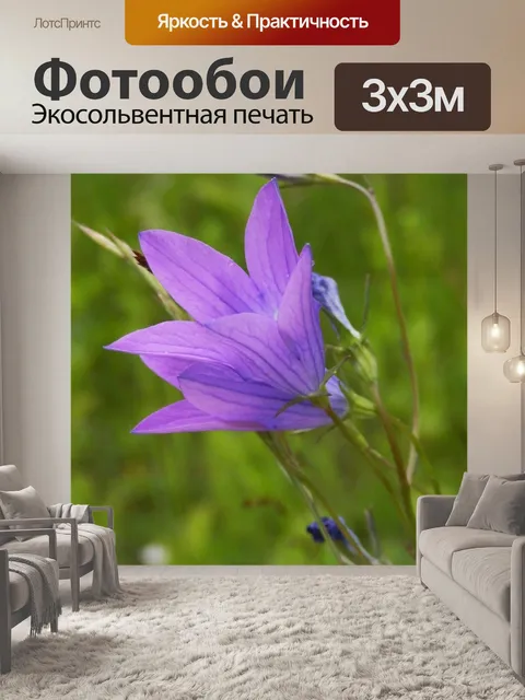 Фотообои Колокольчик раскидистый