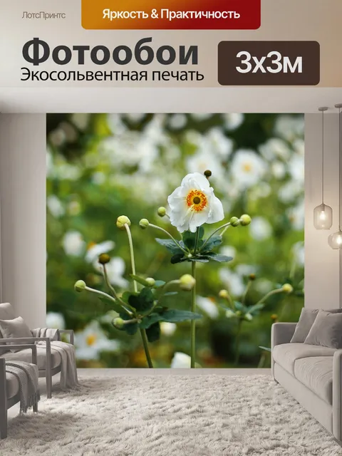 Фотообои Анемоны цветы луговые фотографии