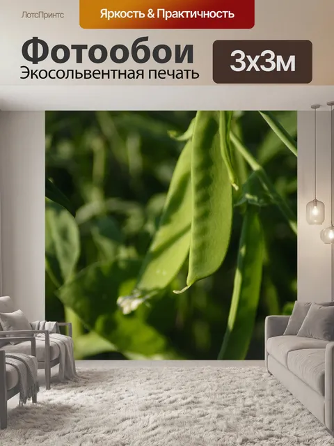 Фотообои Душистый горошек
